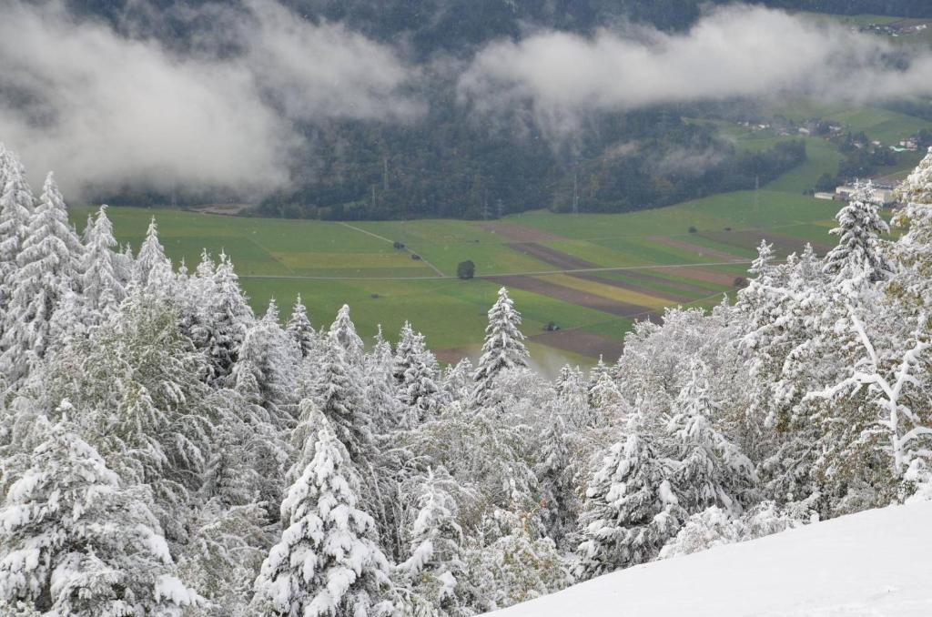 Pension Spiegl Seefeld in Tirol Dış mekan fotoğraf